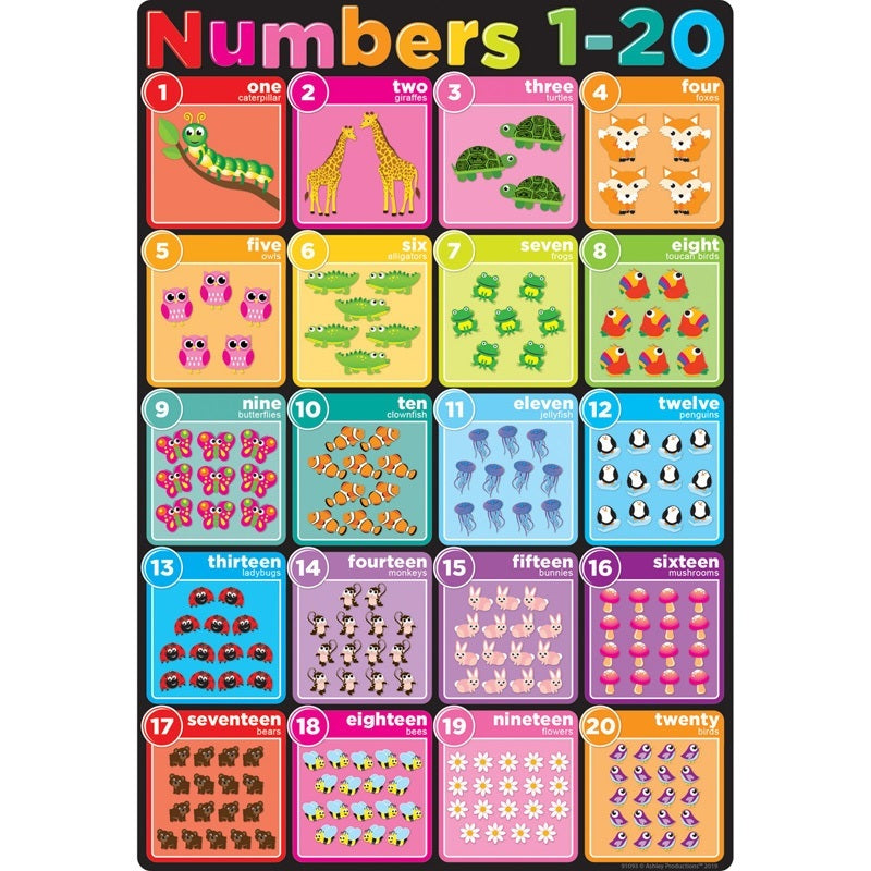 Ashley Smart Poly Chart Numbers 1-20, 13