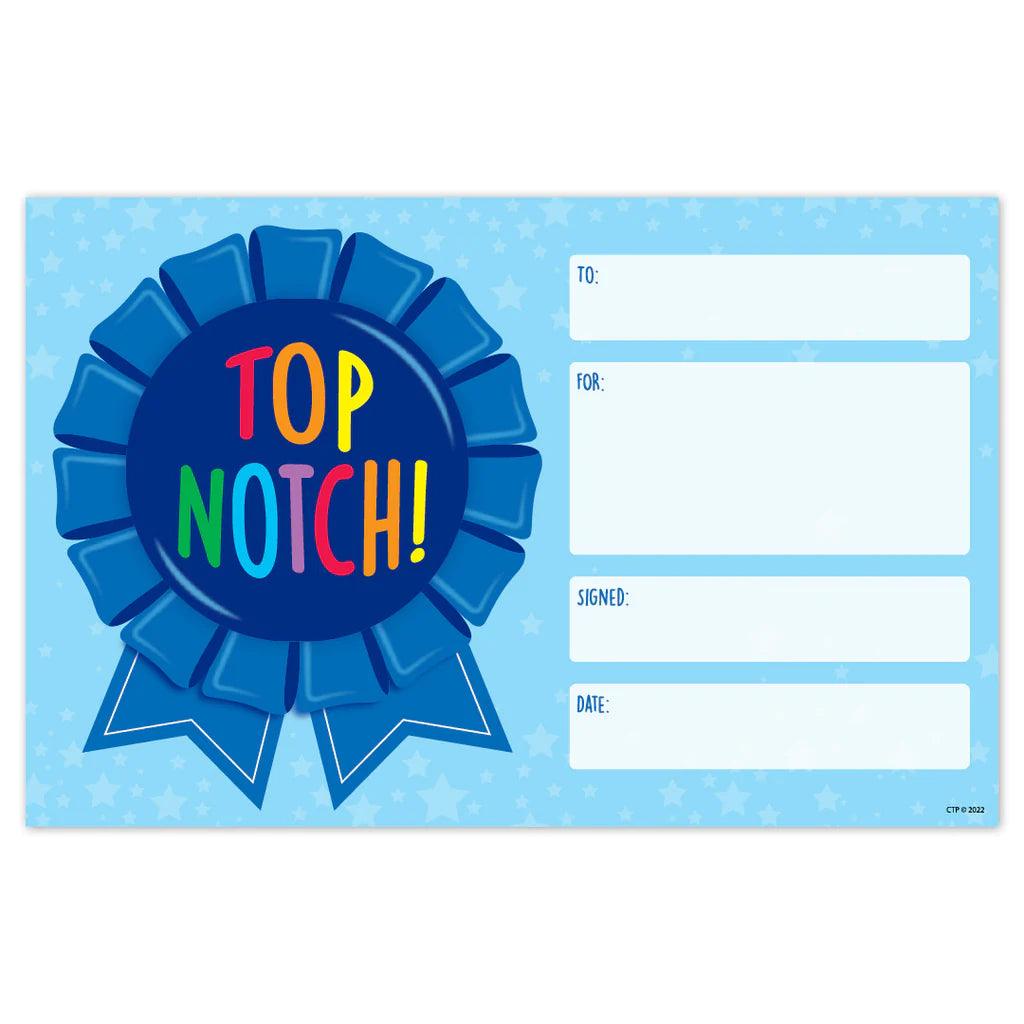 Creative Teaching Top Notch! Award (CTP 10695)