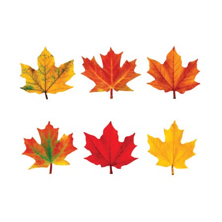 Trend Enterprises Maples Leaves Mini Accents Variety Pack 36 Count (T 10836)