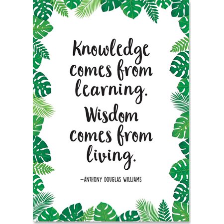 Creative Teaching Press Knowledge Comes From Learning Palm Paradise Inspire U Poster (CTP 10242)