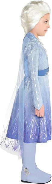 Amscan Frozen 2 Elsa Costume, Medium 8-10 (8404222)