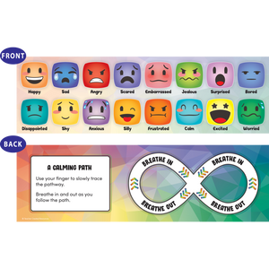 Teacher Created Social-Emotional Mood Meters (TCR 6052)