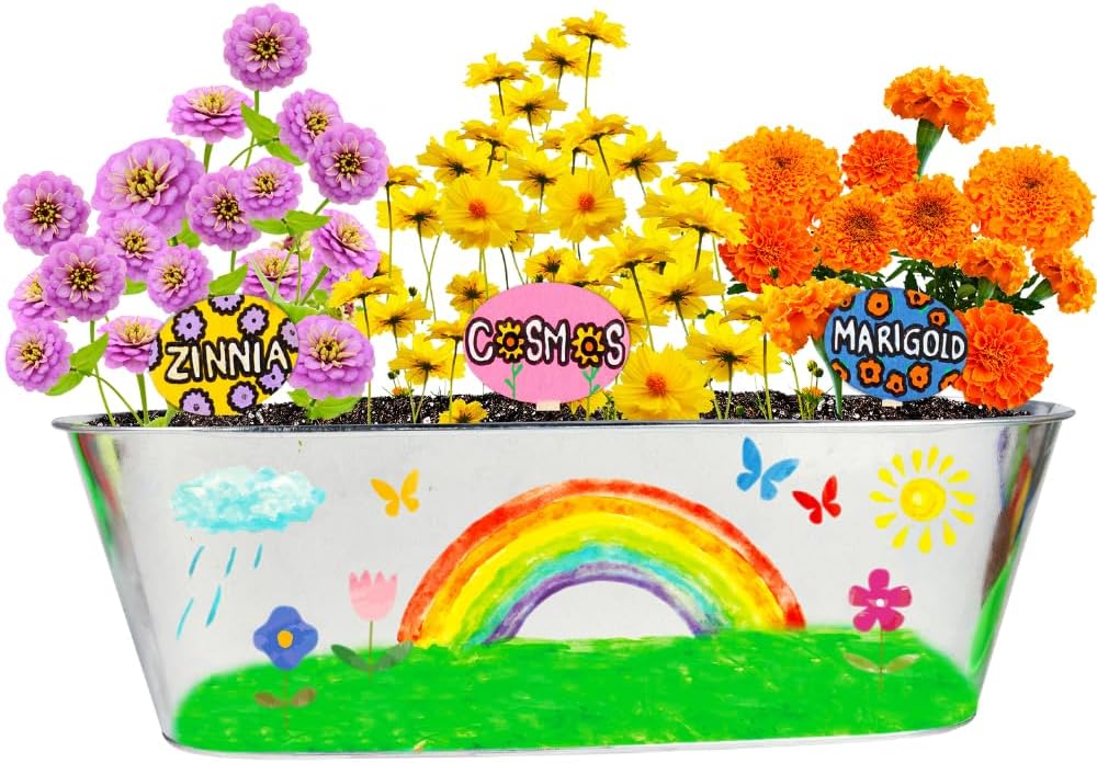 crayola hanging planter kit MiracleGro Paint & Plant My First Flower Growing Kit