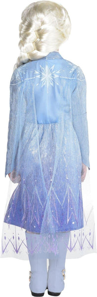 Amscan Frozen 2 Elsa Costume, Medium 8-10 (8404222)