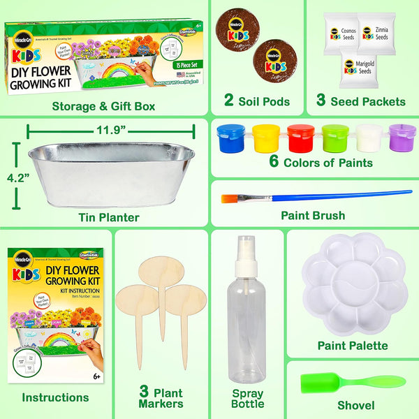 Creative Kids Miracle-Gro DIY Flower Growing Kit (BAT 63064)