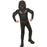 Inspirit Designs Godzilla x Kong Kong Costume, Large 10-12 (24060)