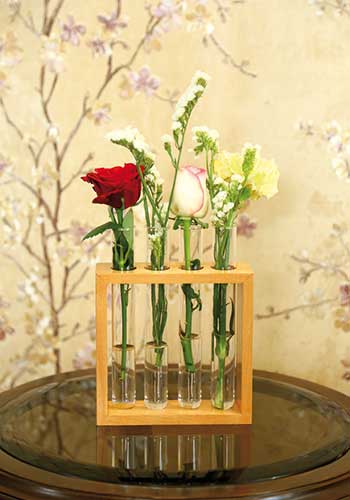 Supertek Scientific Square Wooden Stand with 4 Glass Tubes (SKFBL-SP-1003B)