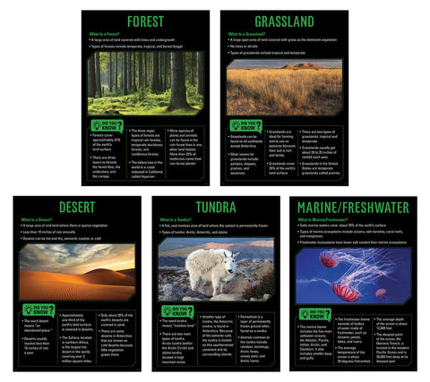 Creative Teaching Ecosystems 5-Poster Set,  17½" x 24" (CTP 10141)