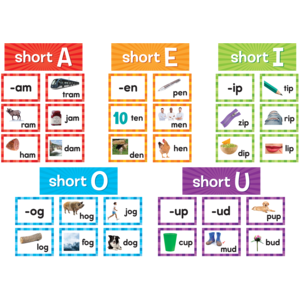 Teacher Created Short Vowels Pocket Chart Cards (TCR20850)