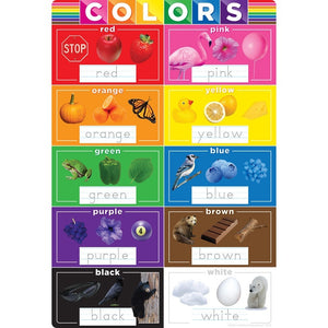 Ashley Smart PolyChart Dry Erase, Colors, 13" X 19" (ASH91080)