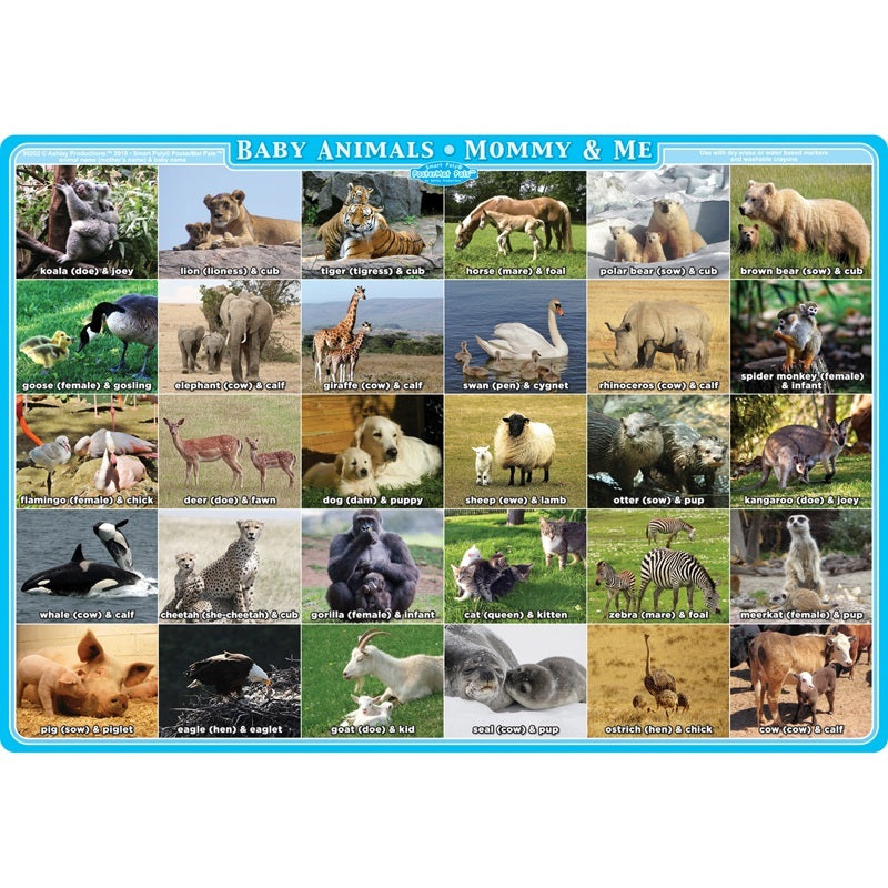 Ashley Smart Poly Single Sided Postermat Pals, Mommy And Me Animals, 12" X 17.25" (ASH95202)