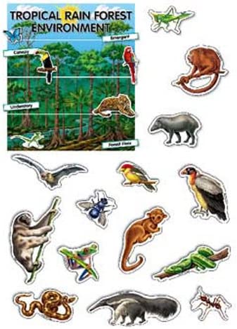 Creative Teaching Tropical Rain Forest Environment Mini Bulletin Board Set (CTP 1766)