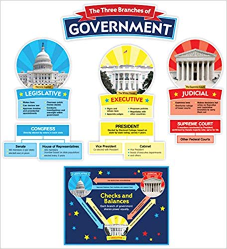 Our Government: Bulletin Board(823626)