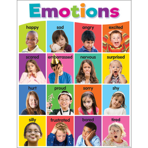 Teacher Created Colorful Emotions Chart (TCR 7107)