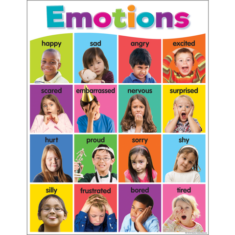 Teacher Created Colorful Emotions Chart (TCR 7107)