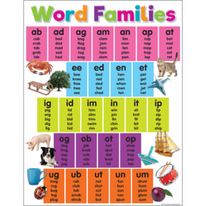 Teacher Created Colorful Word Families Chart, 17" x 22" (TCR 7112)
