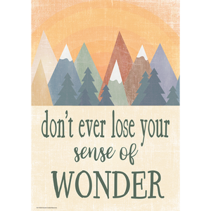 Teacher Created Don’t Ever Lose Your Sense of Wonder Positive Poster (TCR 7458)