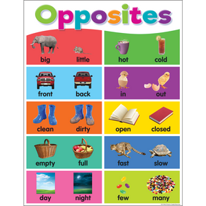 Teacher Created Colorful Opposites Chart 17" x 22" (TCR7496)