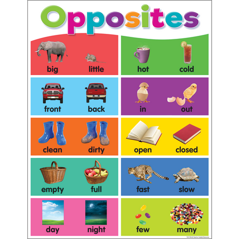 Teacher Created Colorful Opposites Chart 17" x 22" (TCR7496)