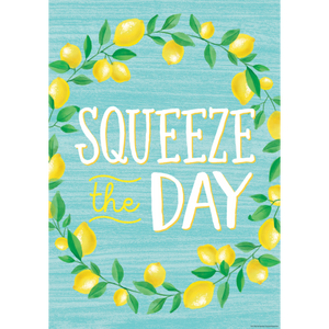 Teacher Created Squeeze the Day Positive Poster 13" x 17"  (TCR7955)