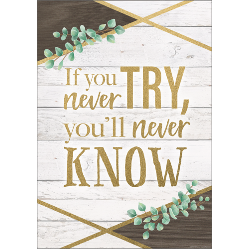 Teacher Created Resources If You Never Try, You'll Never Know Positive Poster 13" x 17" (TCR7979)