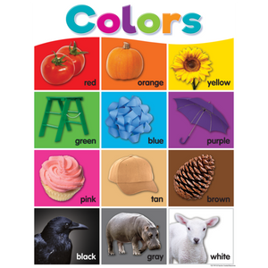 Teacher Created Resources Colorful Colors Chart (TCR 7991)