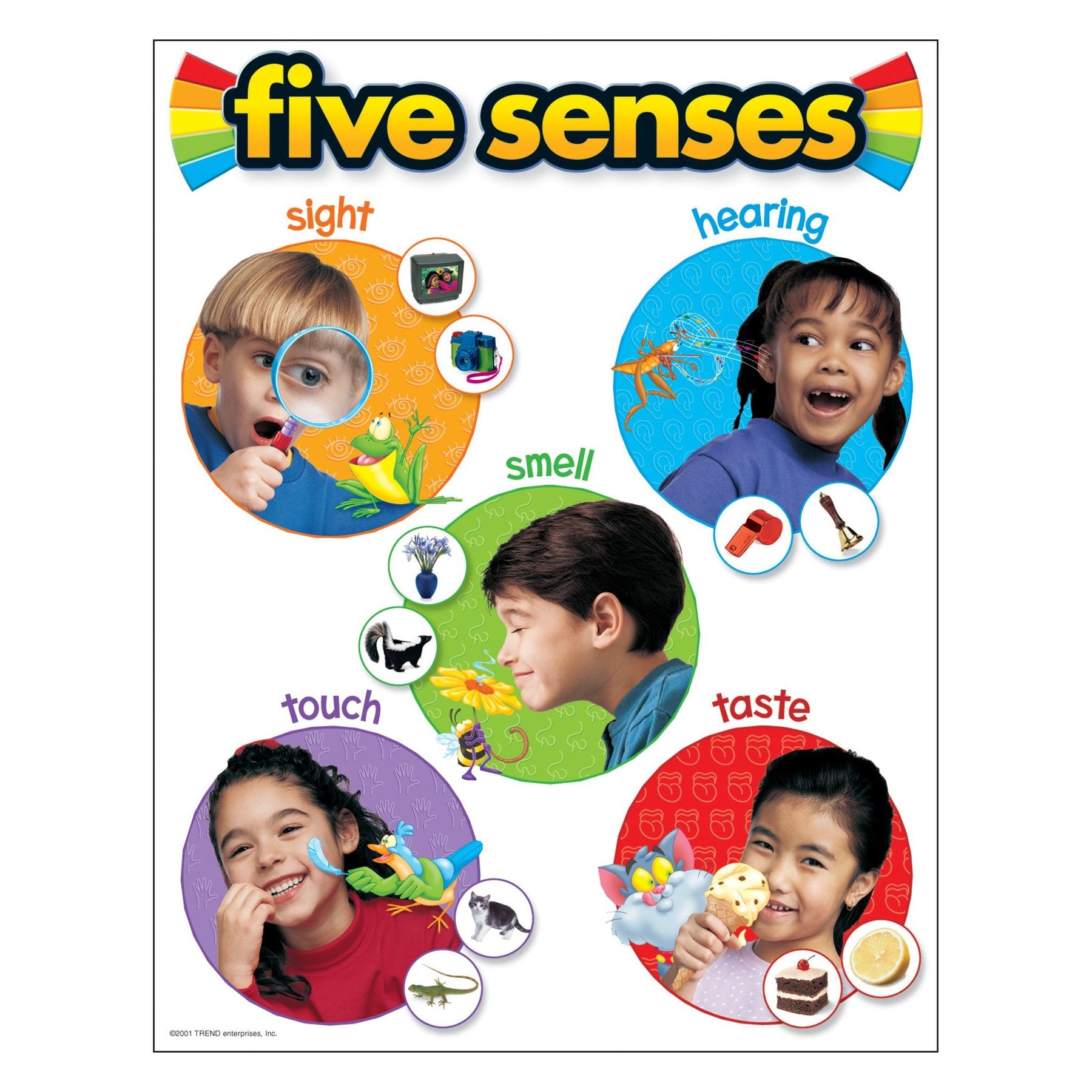 Trend Five Senses Learning Chart (T38051)