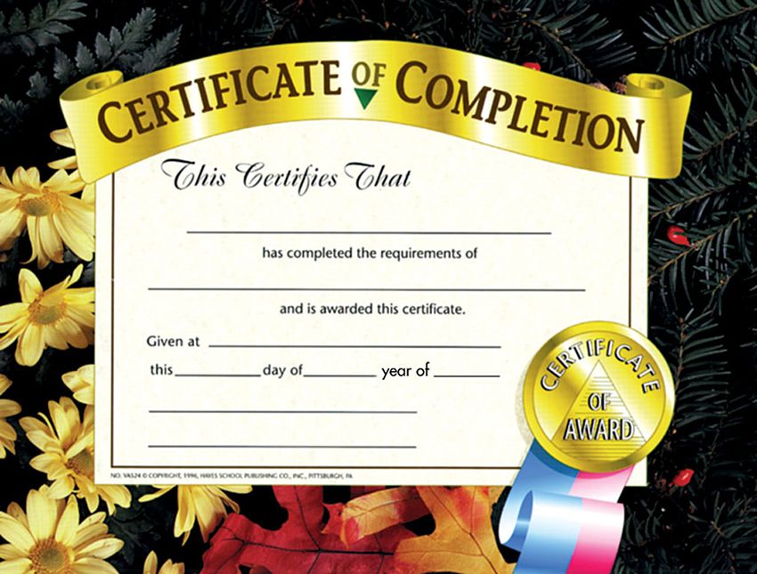 Hayes Certificate of Completion, 30 Pack, 8.5 x 11 (VA524)